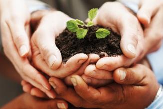 Online il database di enti di certificazione e consulenti FSC