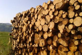 ConLegno e NEPCon gli Organismi di Controllo ai fini della EUTR