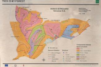 Alla scoperta dei sentieri del Bosco di Piegaro