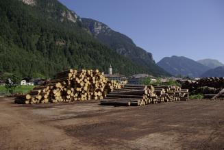 Seminario sulla Timber Regulation e la certificazione FSC
