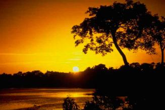 Creating Sustainable Timber Markets, 6 Novembre, Amsterdam