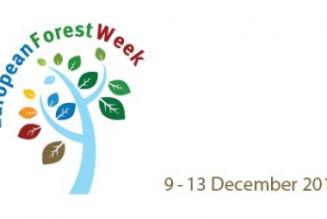 Settimana Europea delle Foreste