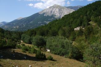 Gestione delle foreste e sviluppo: opportunità e sfide globali - Trento - 6/7 dicembre