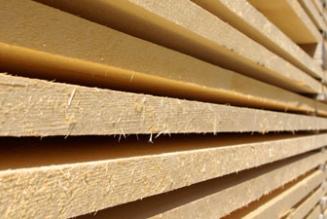 La certificazione forestale come strumento di riqualificazione e competitività delle filiere