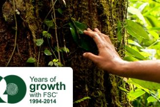 The Root of the Matter: il nuovo blog di FSC