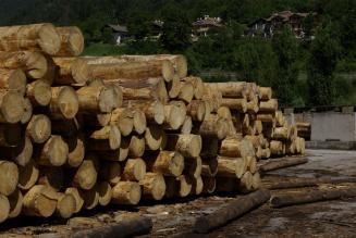 Webinar sulla Timber Regulation: le nuove sanzioni e il sistema LegnOK