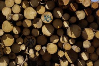 Dati delle certificazioni FSC in Italia a febbraio 2015