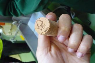 Prodotto FSC catena di custodia