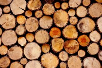 FSC consultazione Legno Controllato