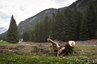 Magnifica Comunità di Fiemme