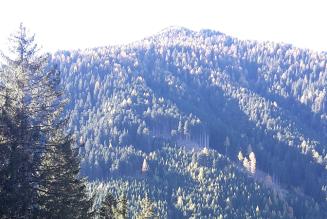 thumb_consultazione_standard_GF_Italia