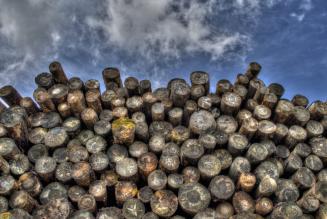 approvvigionamento Legno Controllato FSC