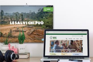 thumb_FSC_calendar_2016