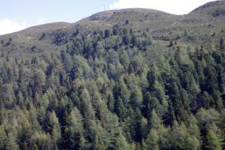 thumb_FSC_nuovo_standard_GF