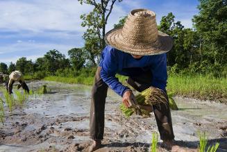 thumb_ROTM_Giornata_acqua