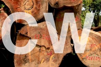 FSC annuncia una serie di interpretazioni relative al Legno Controllato