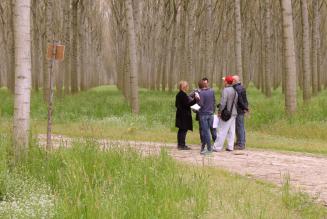 thumb_ FSC field test gestione forestale