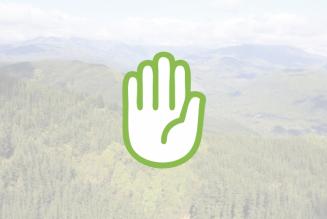 FSC thumb sospensione