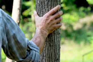 Foreste Regionali della Lombardia: Giornata aperta alla consultazione dei portatori di interesse