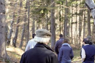 Nuovo standard di Gestione Forestale nazionale verso la bozza finale