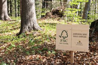 Standard di Catena di Custodia: aggiornamenti sulla consultazione in corso e report dell’incontro con gli stakeholder