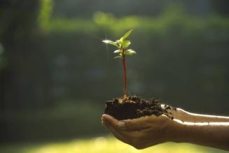 #FSCFriday 2016: festeggia con noi le foreste del mondo!