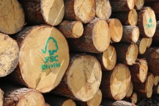 Ritirata la sospensione di Exova BM Trada