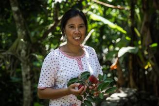 Certificazione FSC®: uno strumento per raggiungere gli obiettivi di sviluppo sostenibile