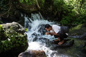 Aggiornamento: Sviluppo della procedura per i Servizi Ecosistemici FSC