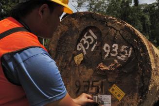 In consultazione: rapporto sulla conformità con i Principi e Diritti Fondamentali dell'Organizzazione Internazionale del Lavoro
