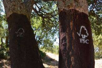 Standard di Catena di Custodia: i risultati della consultazione pubblica