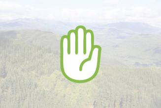 FSC pone le condizioni prima della dissociazione dal Gruppo Schweighofer