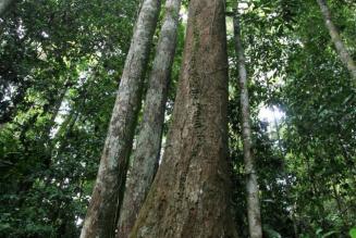 Disponibili online i dati di impatto per gli standard di sostenibilità