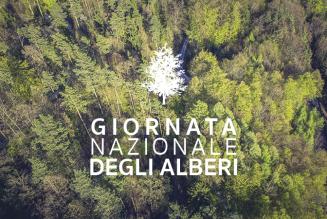 Giornata Nazionale degli Alberi 2016 e gestione forestale responsabile: a che punto è l’Italia?