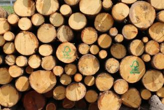 Aperta la consultazione sulla Procedura FSC per il Carbon Footprint