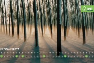 #AForestInAYear: Turco Ivan e Pitton Rosa & C.