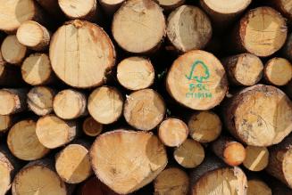 Certificazione FSC in Italia: il report 2016