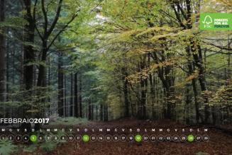 #AForestInAYear: Campomo s.s.