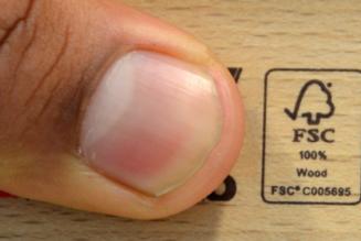 Uso dei marchi FSC per le aziende: nuovo incontro pubblico di consultazione per la revisione della seconda bozza dello standard 50-001 V2-0