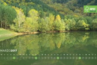 #AForestInAYear: Unione di Comuni Valdarno e Valdisieve