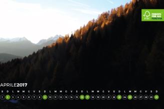 #AForestInAYear: Magnifica Comunità di Fiemme