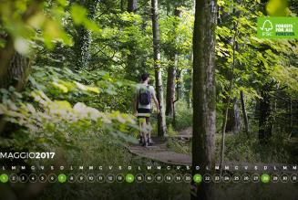 #AForestInAYear: ERSAF Lombardia