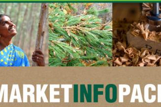 Benefici della certificazione: ecco il nuovo Market Info Pack di FSC