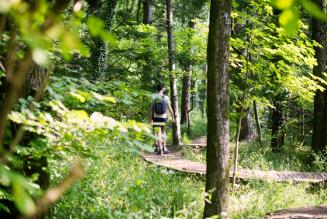 FSC Italia porta la gestione forestale responsabile a Cammina Foreste Lombardia 2017