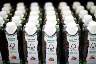 Diventa sponsor dell'Assemblea Generale FSC