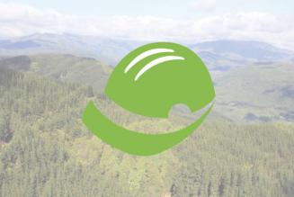 Certificazione forestale di gruppo: standard in consultazione