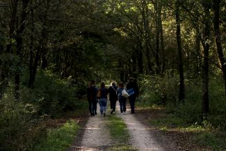 Gestione forestale come responsabilità sociale: a Roma un convegno per dare voce ai boschi del nostro Paese