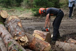 Il Comitato Direttivo FSC approva i criteri e indicatori generici ILO
