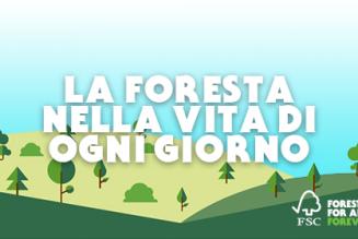La foresta nella vita di tutti i giorni