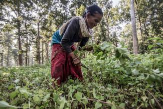 Persone e Pianeta: ecco la via per FSC